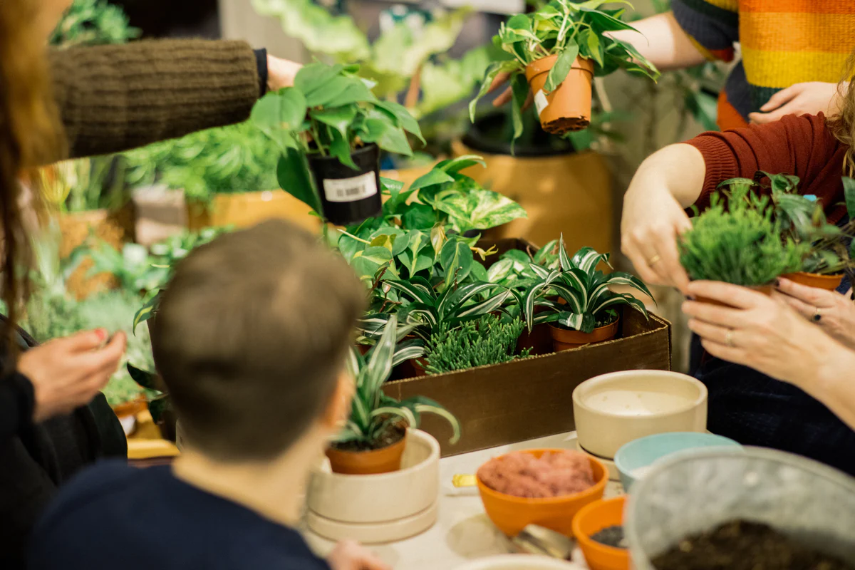 Welcome to Our Store